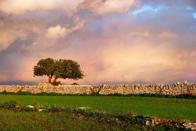 La Carruba — Ragusa