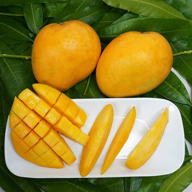 Mangue de Banganapalli - Banaganapalli | Secret World Trip Planner