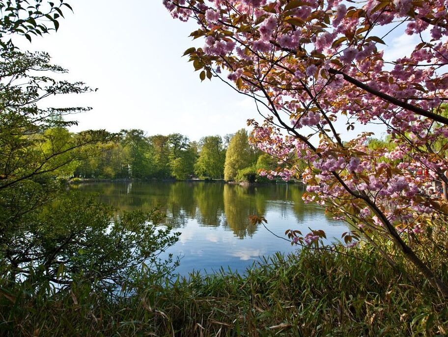 Le parc de Sauvabelin à Lucerne - Losanna | Secret World Trip Planner