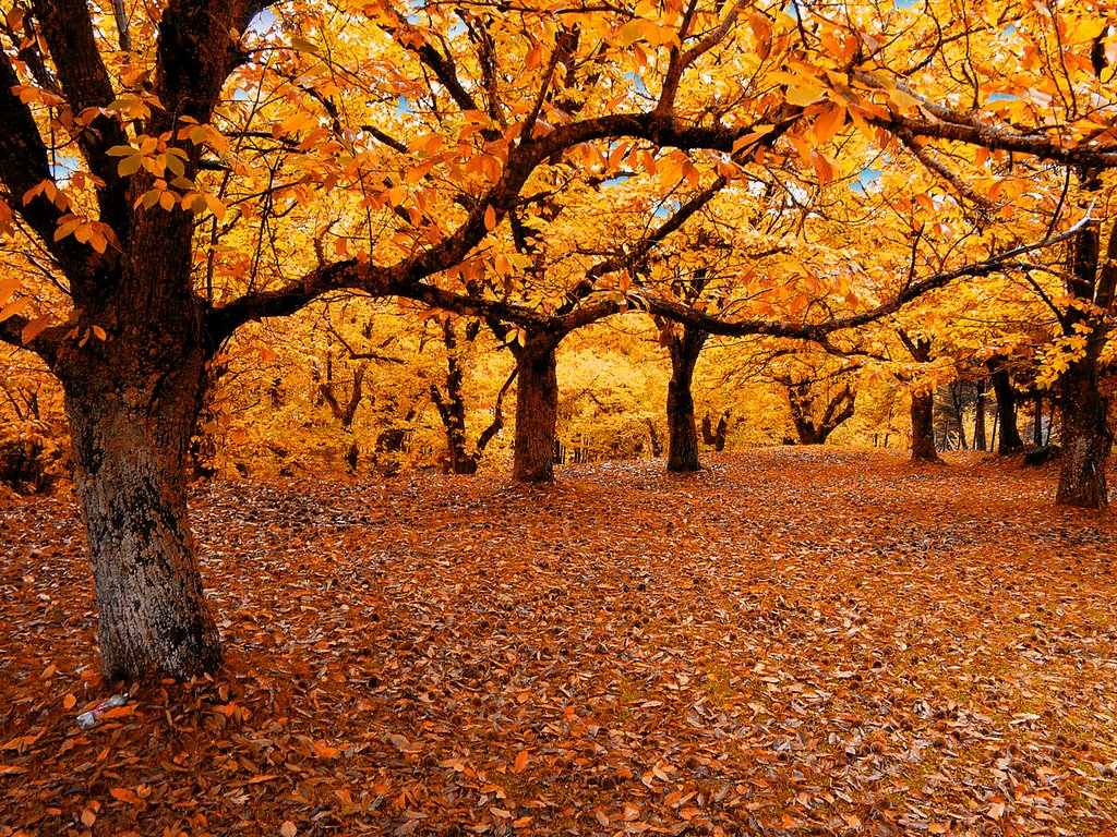 A Terminius hegy és az ősi gesztenyeligetek - Serino | Secret World Trip Planner