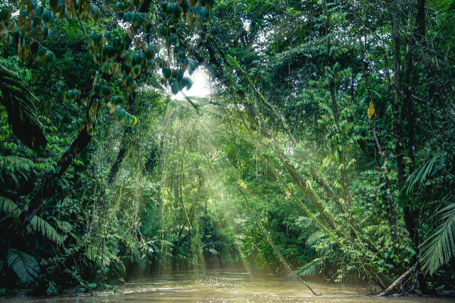 Tortuguero National Park - Roxana | Secret World Trip Planner