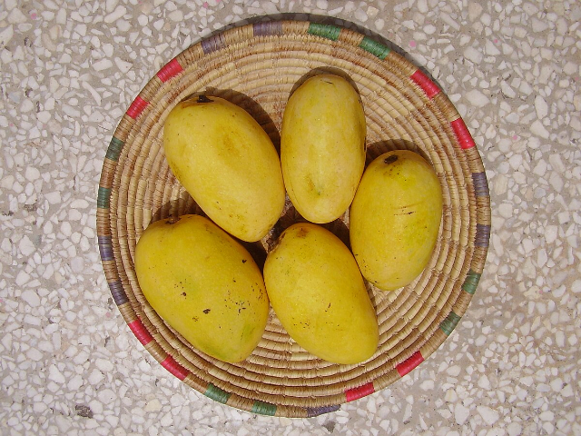 Mango Chaunsa — Kurukshetra