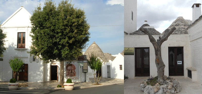 Musée de l'huile d'Alberobello — Tuili