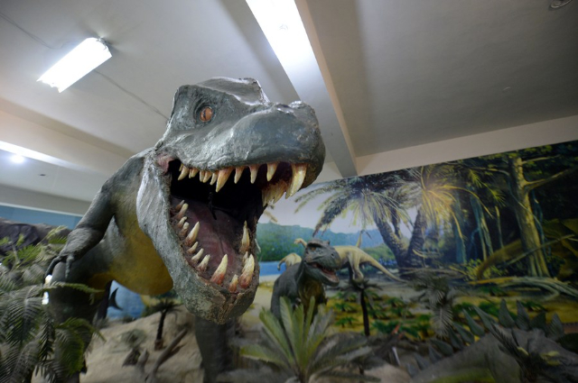 The Pakistan Museum of Natural History (PMNH) - Islamabad | Secret World Trip Planner