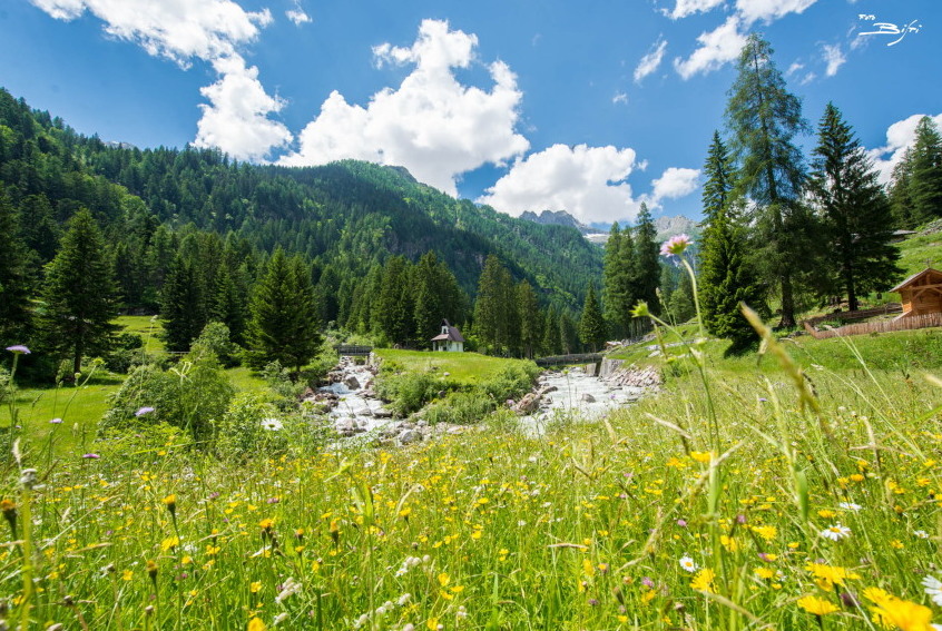 Trentin : Val Gênes, la vallée des cascades - Val Genova | Secret World Trip Planner
