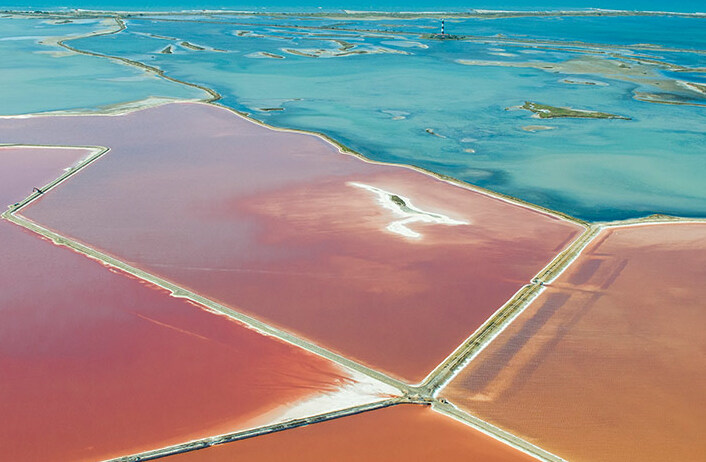 Camargue | The Largest River Delta in Western Europe — Camargue