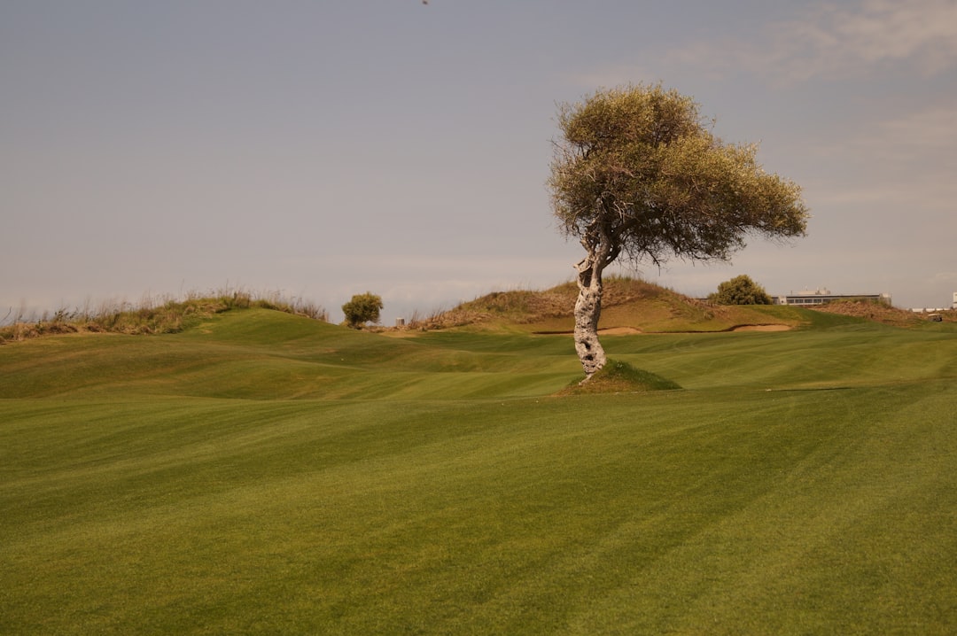Vague | Trône royal - Troon | Secret World Trip Planner