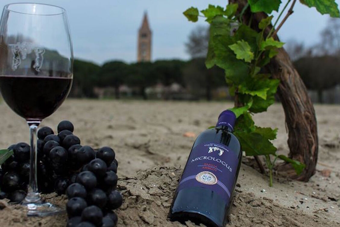 Bosco Eliceo wine — Voghiera