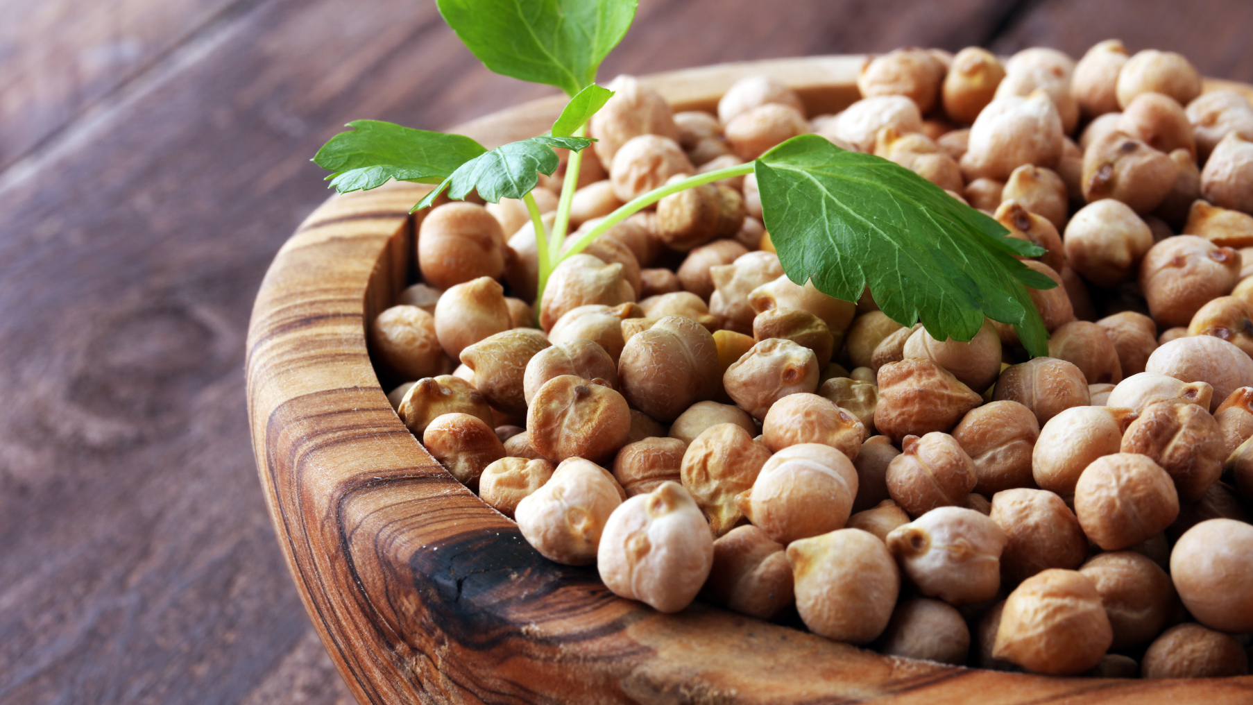 Cece של Grosseto - Grosseto | Secret World Trip Planner