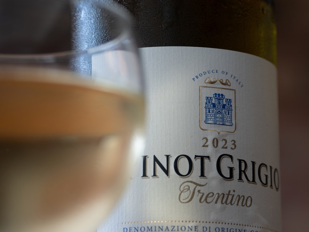Le vin sacré du Trentin - Valle dei Laghi | Secret World Trip Planner