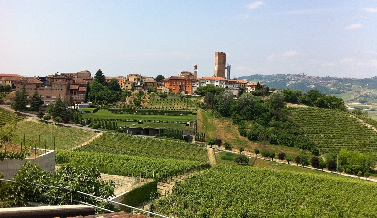 شراب های برتر جهان: باربارسکو - Barbaresco | Secret World Trip Planner