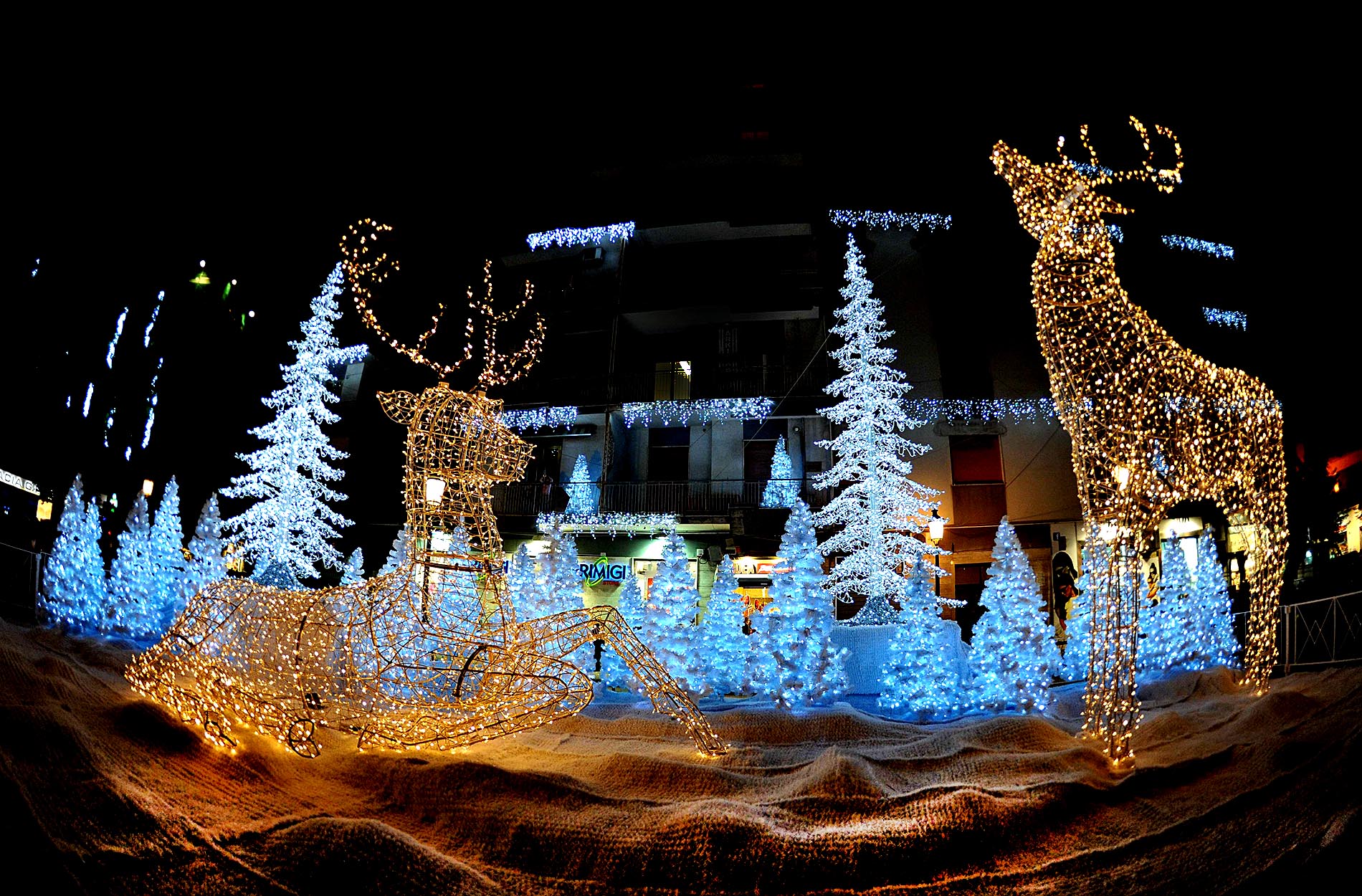 Artist Lights - Salerno SA | Secret World Trip Planner