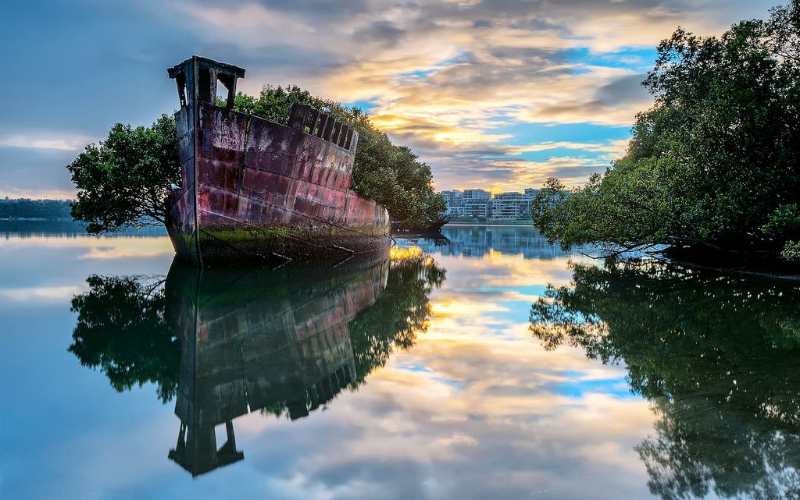 Ein Mangrovenschiff - Homebush Bay or The Flats | Secret World Trip Planner