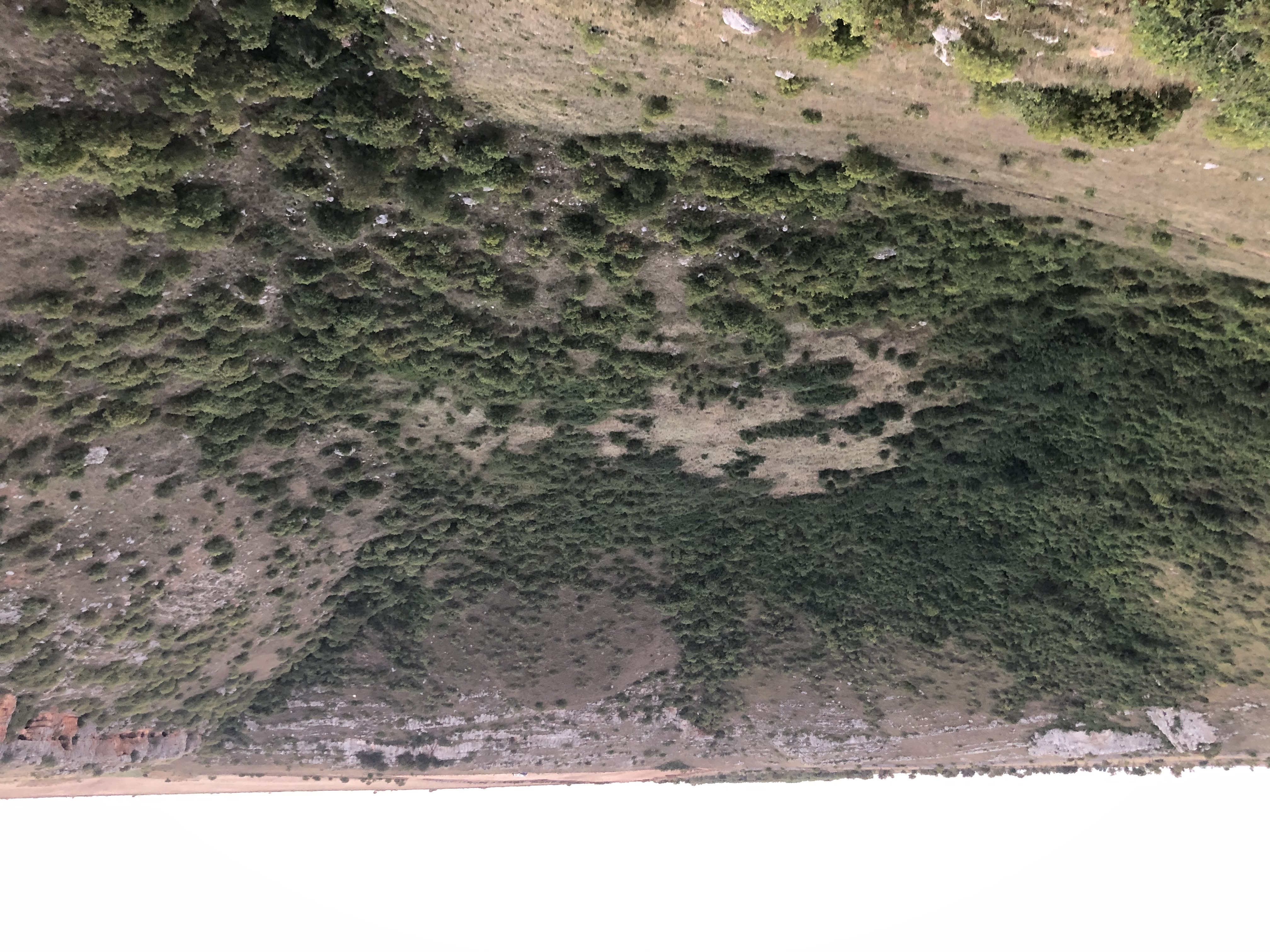 Pulo Altamure, neverjetna jama.  - 1481 | Secret World Trip Planner