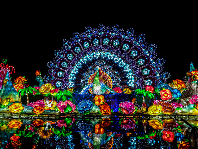 Dubai Garden Glow — Dubai