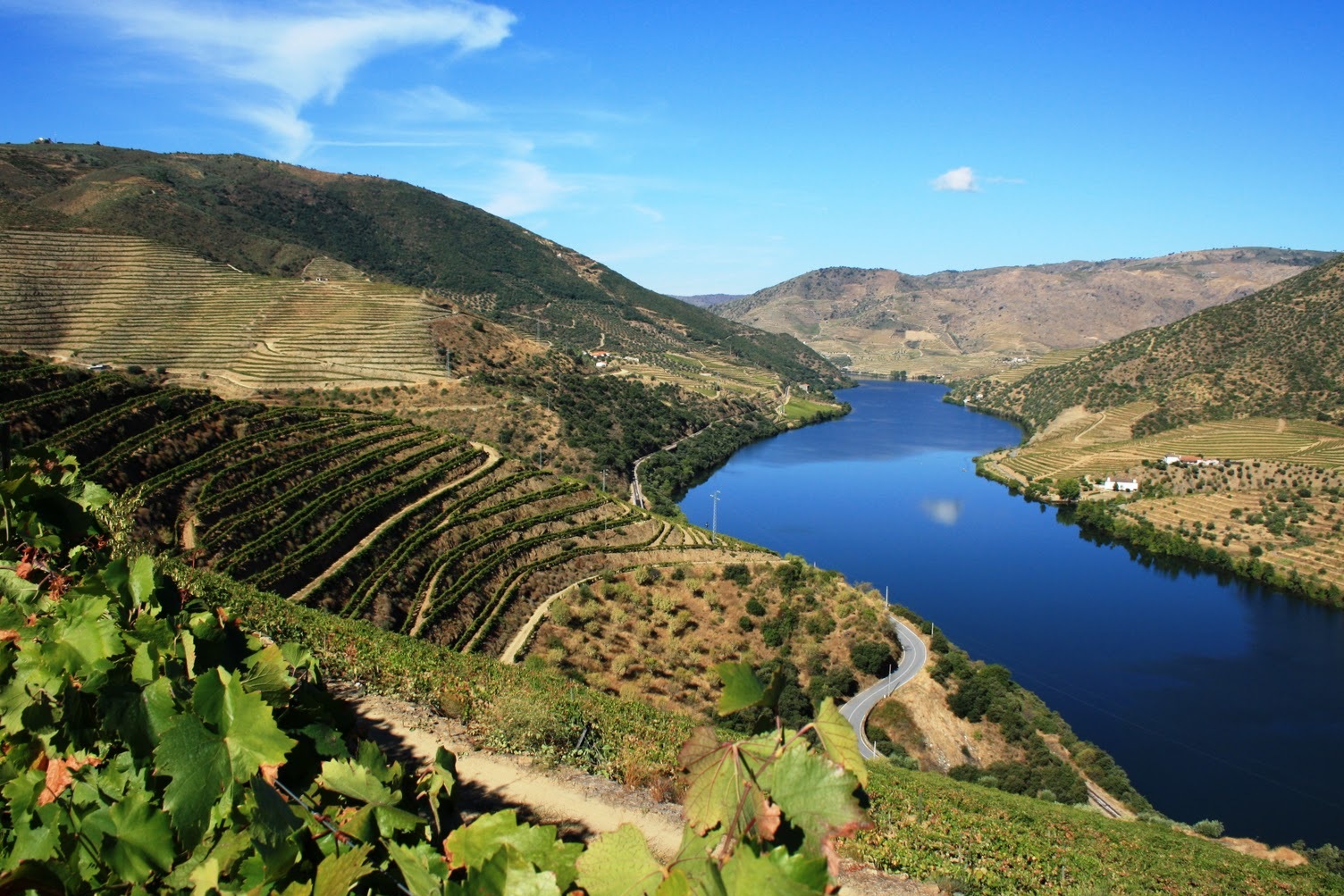 Vignoble du Haut-Douro — Vila Real