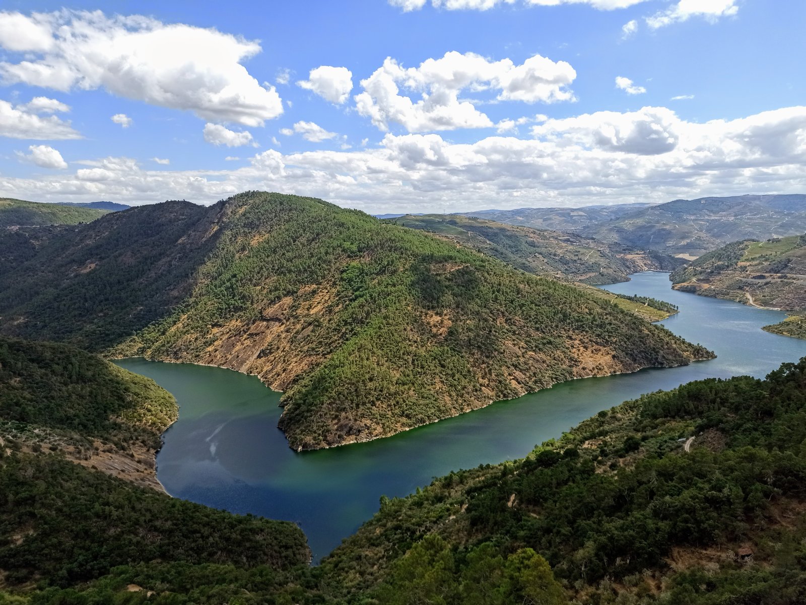 Vignoble du Haut-Douro - Vila Real | Secret World Trip Planner