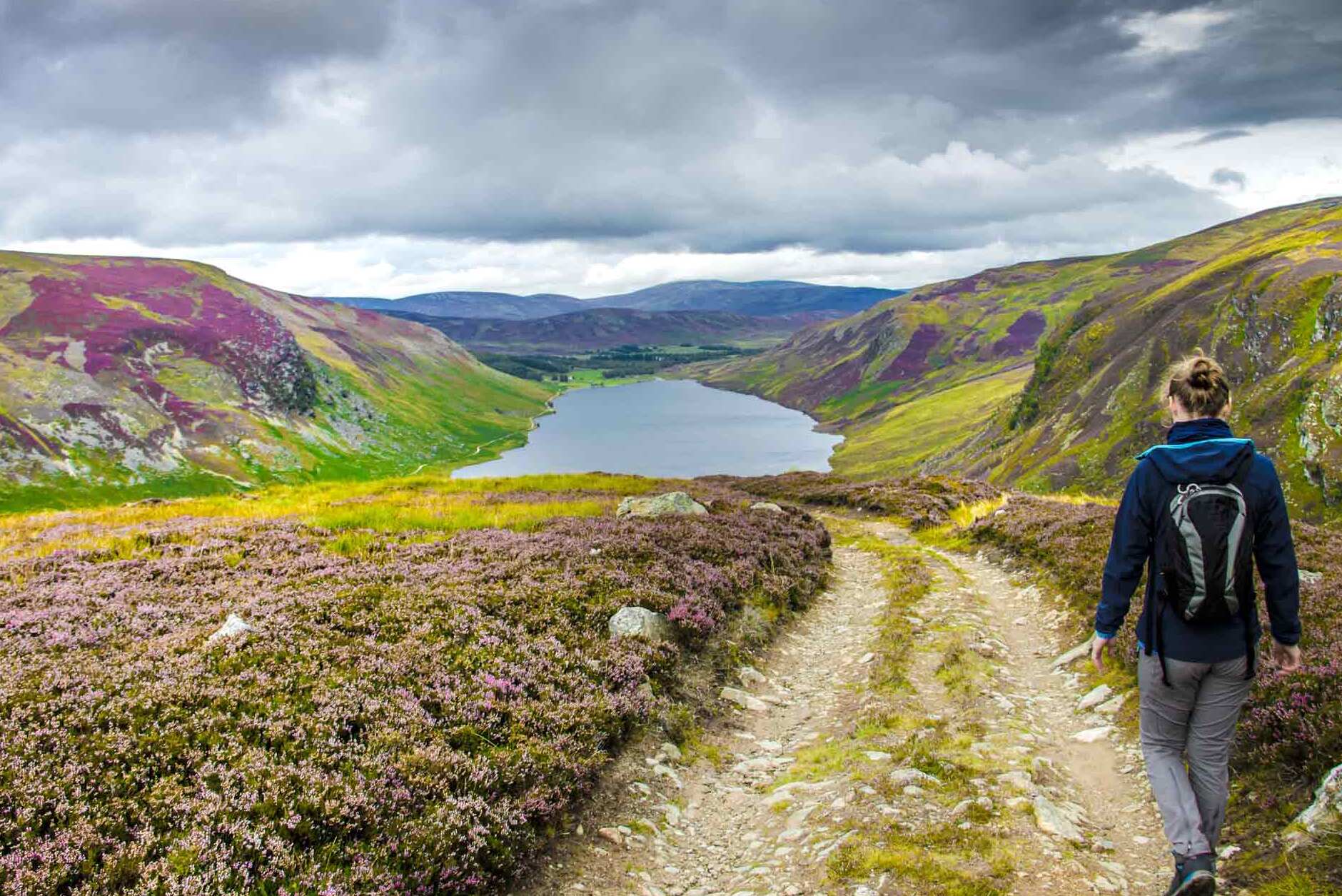 Le parc national des Cairngorms, le plus grand parc de Grande-Bretagne - Grantown on Spey PH26 3HG | Secret World Trip Planner