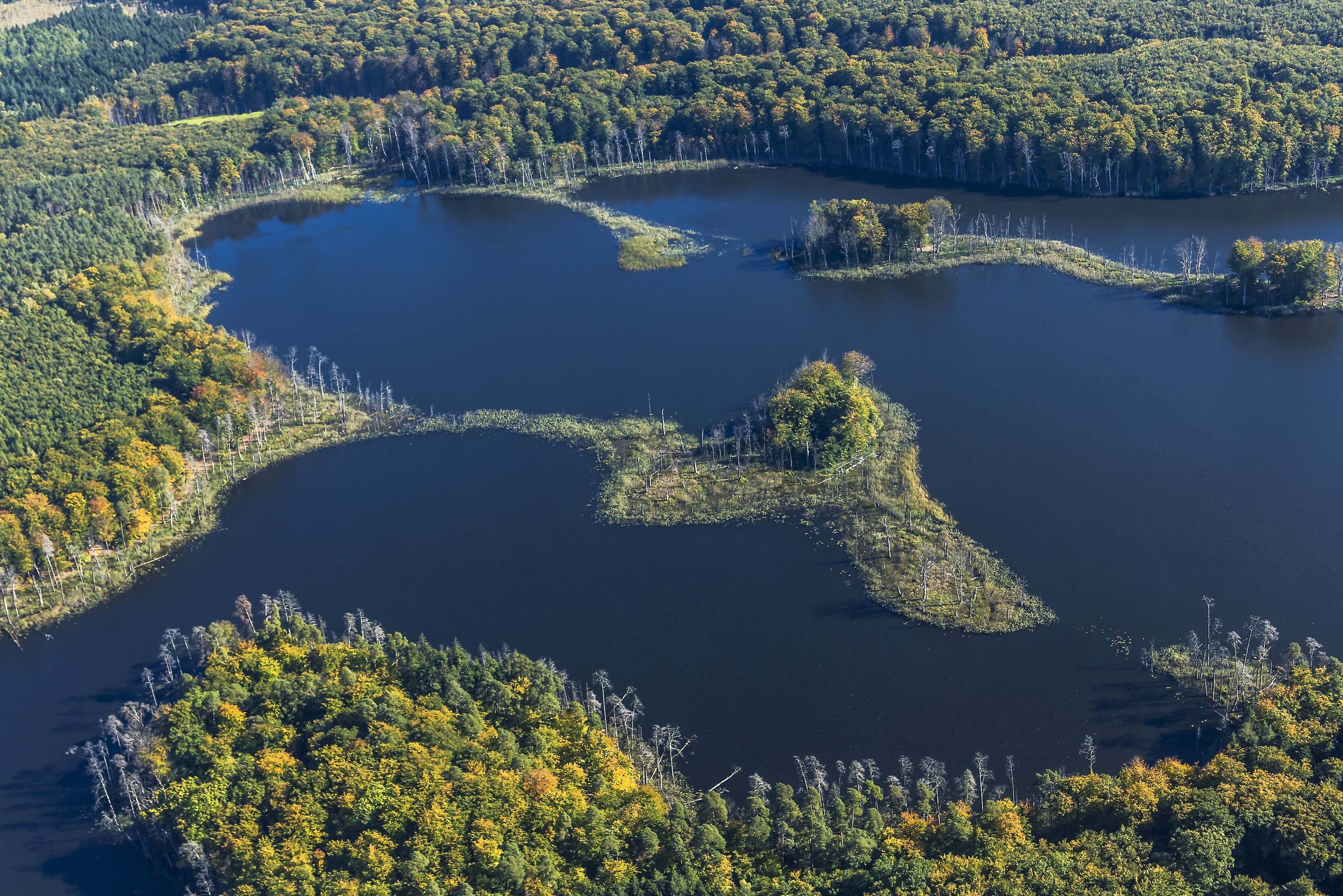 Germany: Jasmund and Muritz National Parks, — Sassnitz