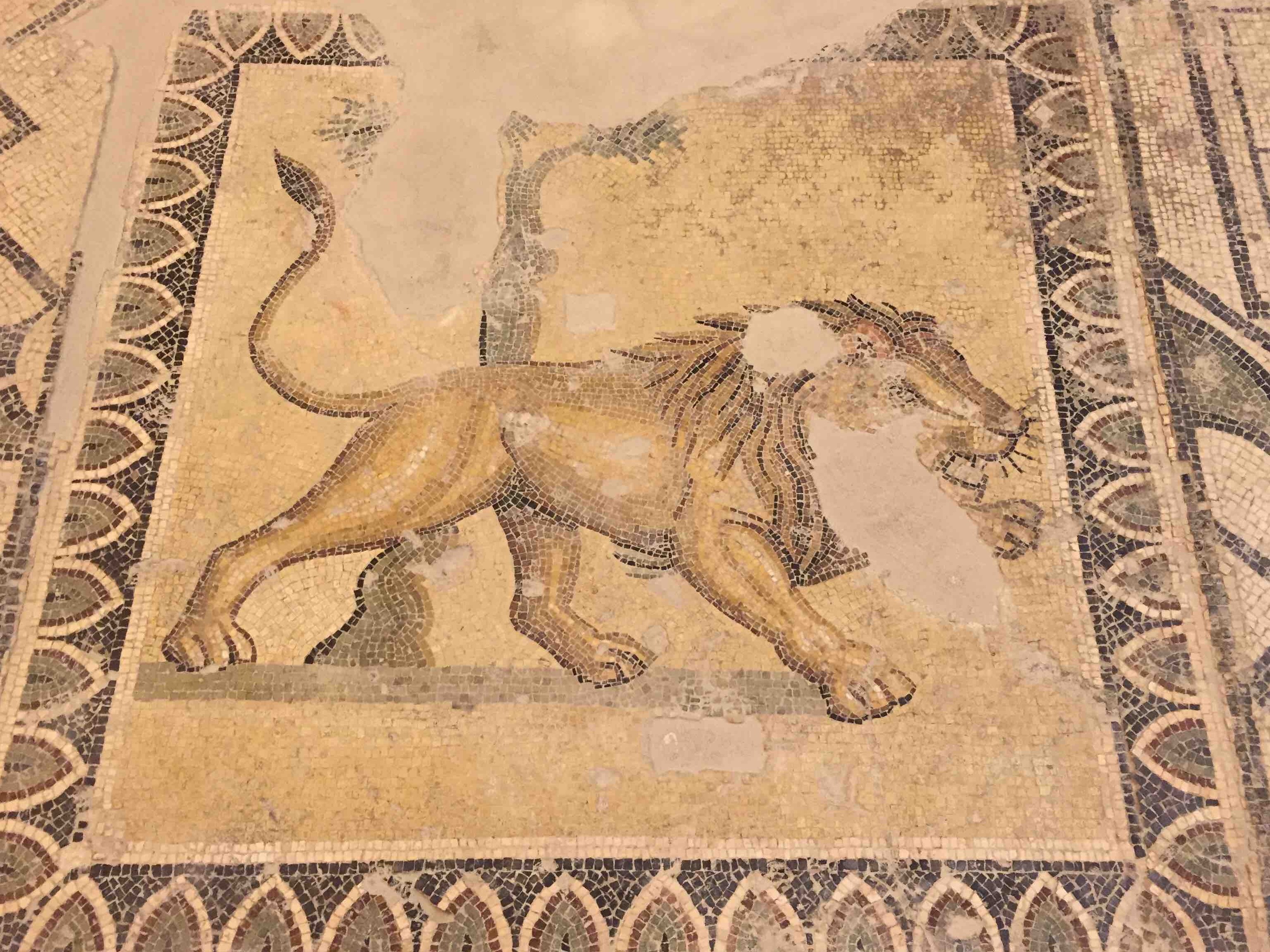 Museo Civico di Larino - Larino | Secret World Trip Planner