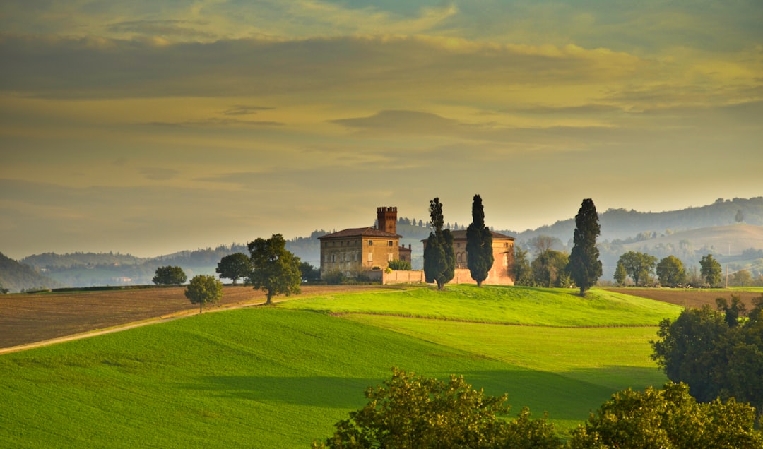 Les passatelli en bouillon, un classique de l'Emilie-Romagne - Emilia-Romagna | Secret World Trip Planner