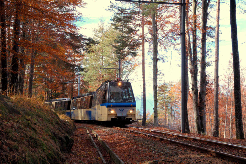 شاخ و برگ با راه آهن Centovalli - Domodossola | Secret World Trip Planner
