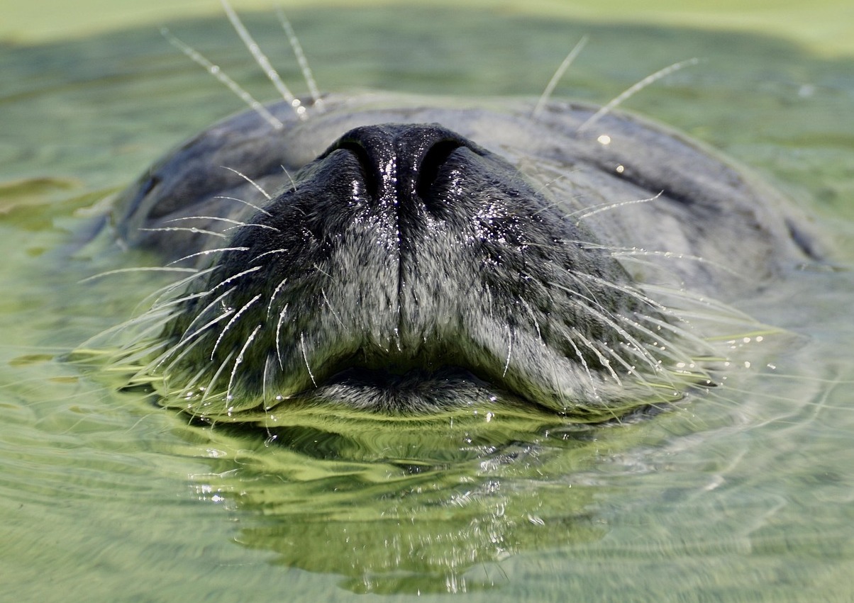 Texel | Un joyau dans les îles de la mer des Wadden - Texel | Secret World Trip Planner