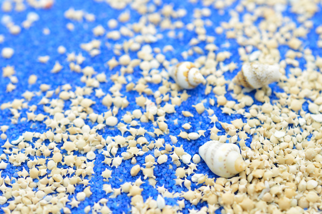 La plage de Hoshizuna et les grains de sable en forme d'étoile — Taketomi