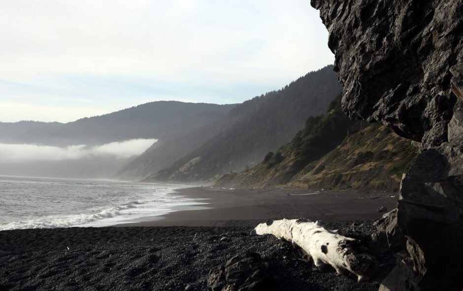 Quand on pense à la Californie, il est difficile d'imaginer des plages aussi noires que la pe — Black Sands Beach