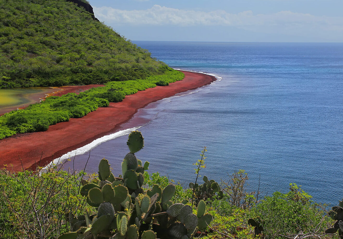 Galapagos and the beautiful red beach — Île Rábida
