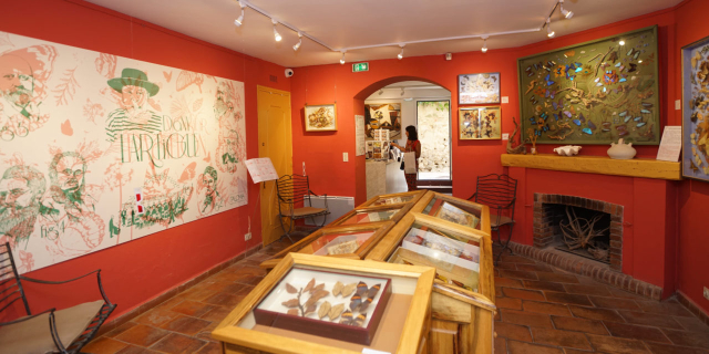 Das Haus der Schmetterlinge — Saint-Tropez