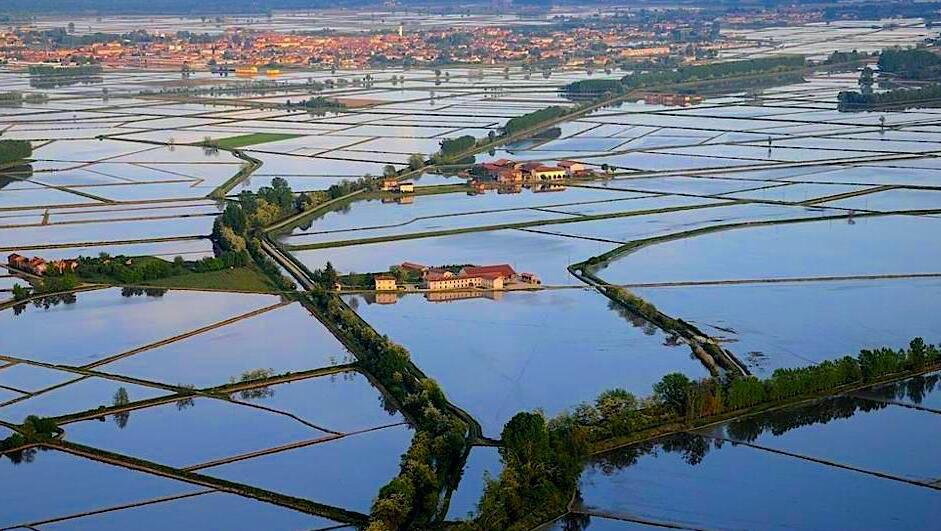 Vercelli ed il riso storico - Vercelli | Secret World Trip Planner