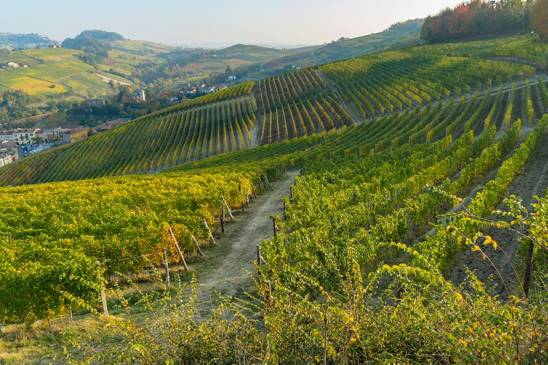 Genepì del Piemonte - Piemonte | Secret World Trip Planner