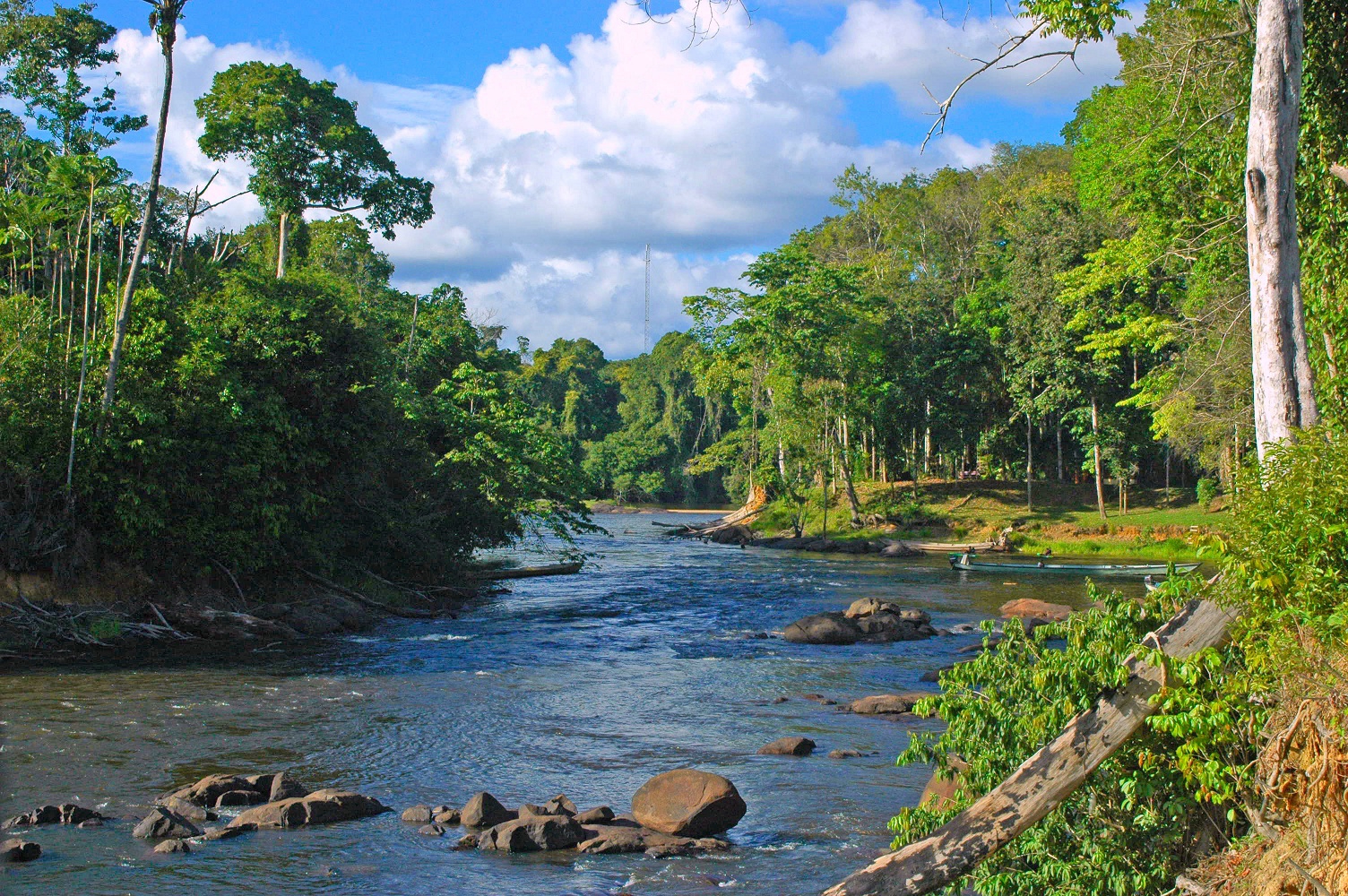 Suriname - Paramaribo | Secret World Trip Planner