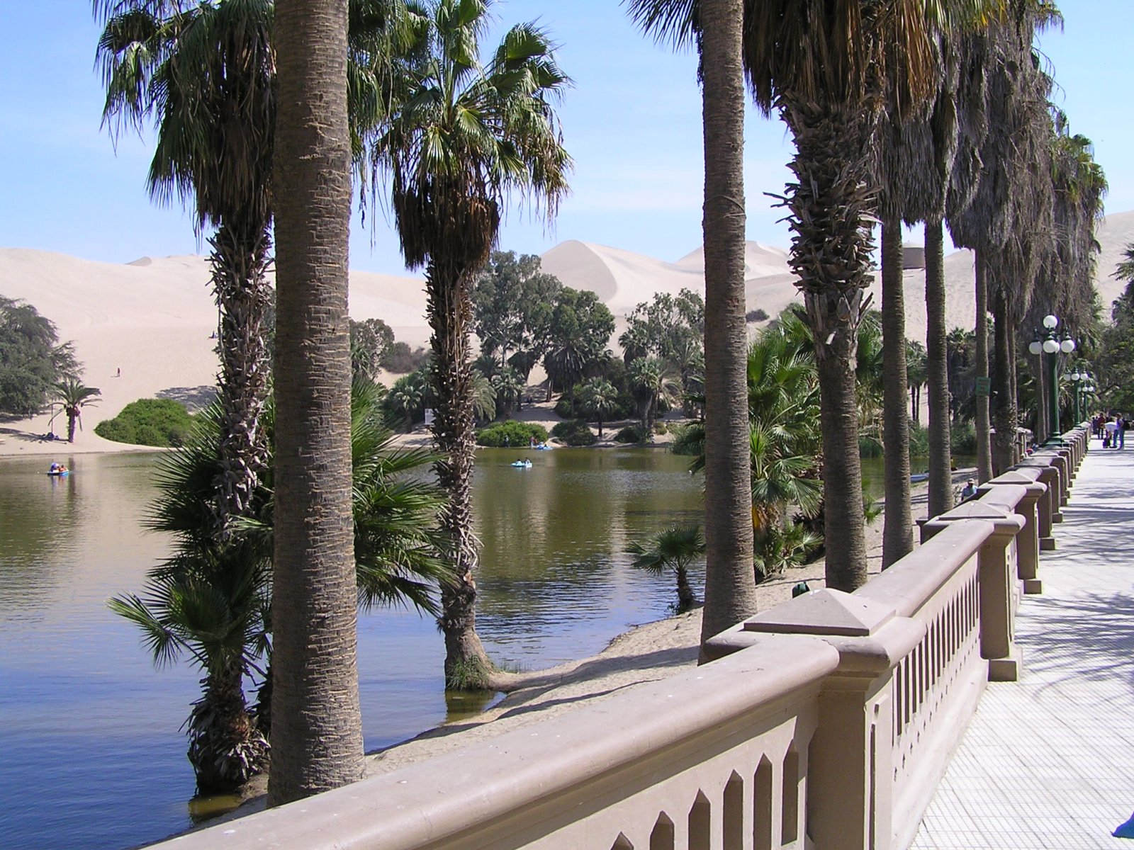 Caché dans une petite oasis entourée de dunes à Huacachina, Pérou
Dans le Sud-Ouest - Huacachina | Secret World Trip Planner