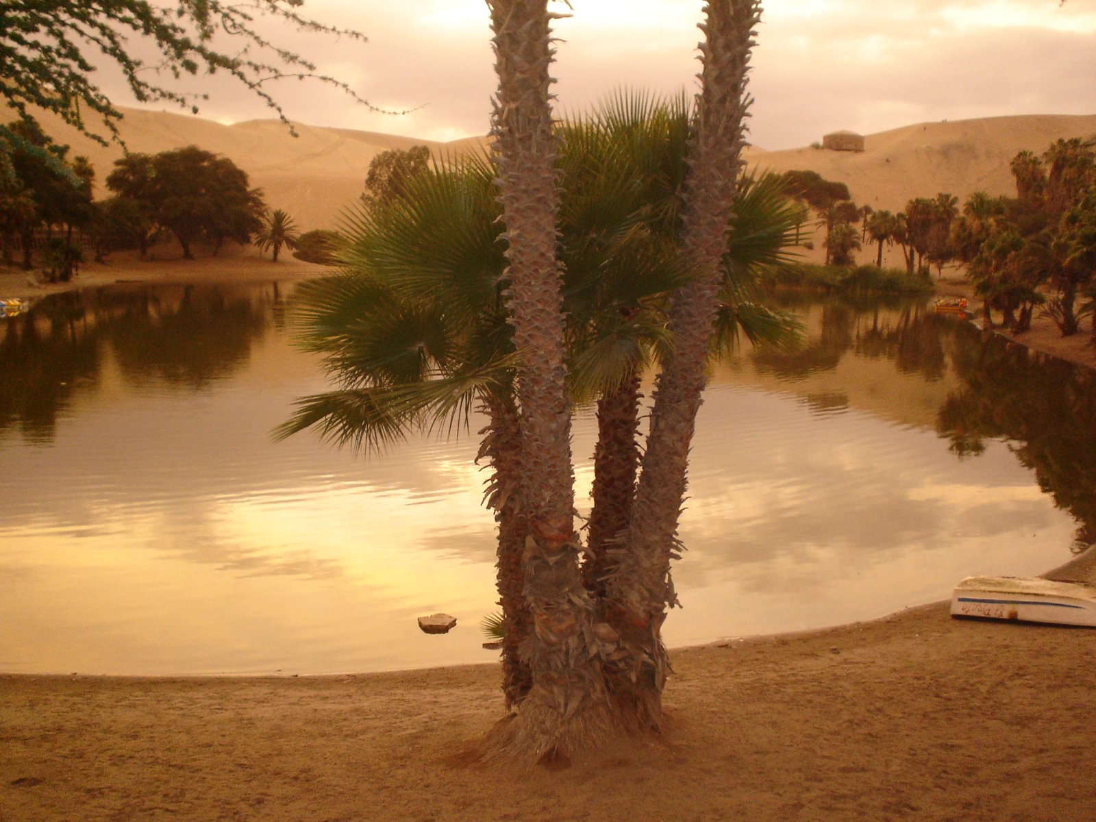 Caché dans une petite oasis entourée de dunes à Huacachina, Pérou
Dans le Sud-Ouest - Huacachina | Secret World Trip Planner