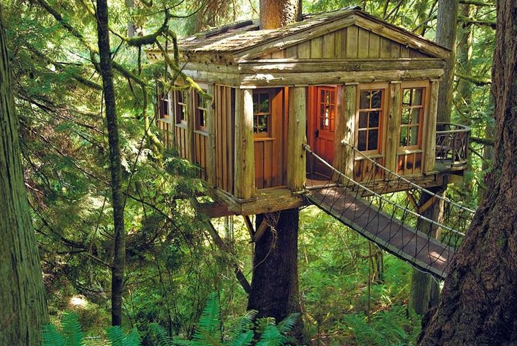 Treehouse Point, État de Washington, États-Unis
Cet hôtel, composé de plusieurs uniquel — Washington